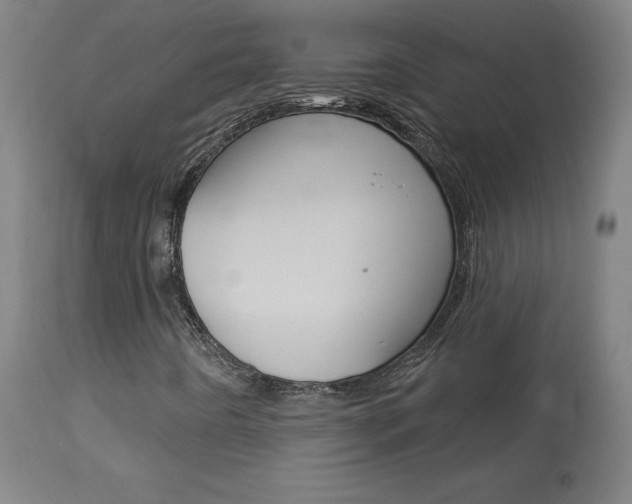 X0000113921442200909241318