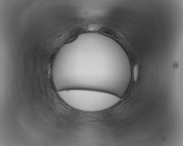 X0000113921443200909241318