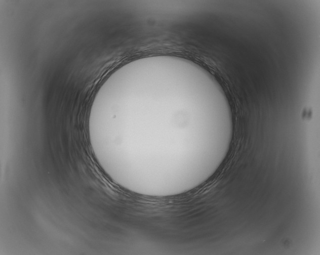 X0000113921444200909241318