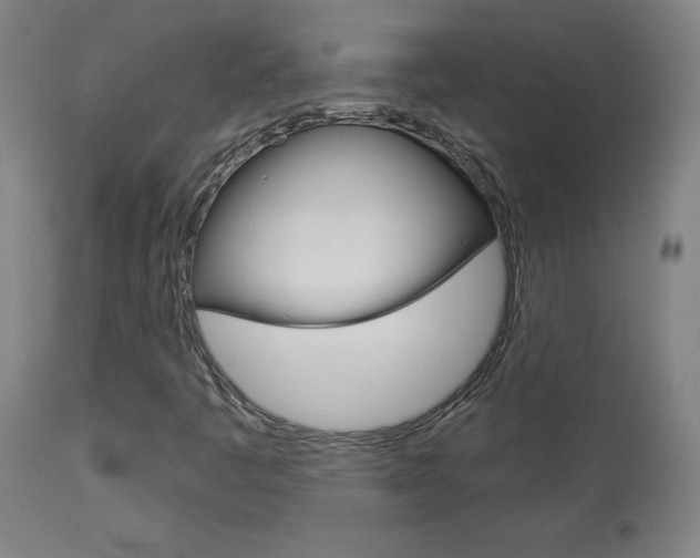 X0000113921445200909241318