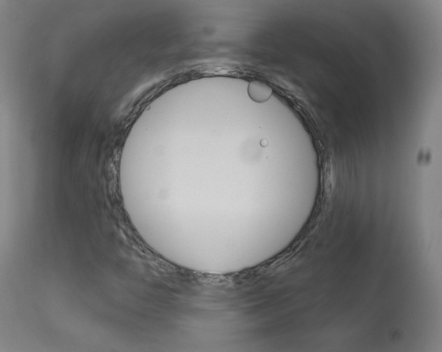 X0000113921446200909241318