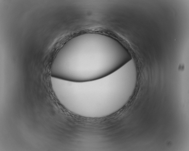 X0000113921447200909241318