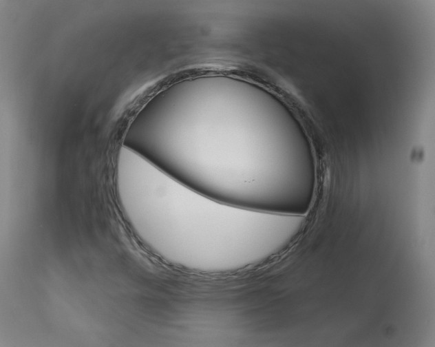 X0000113921448200909241318