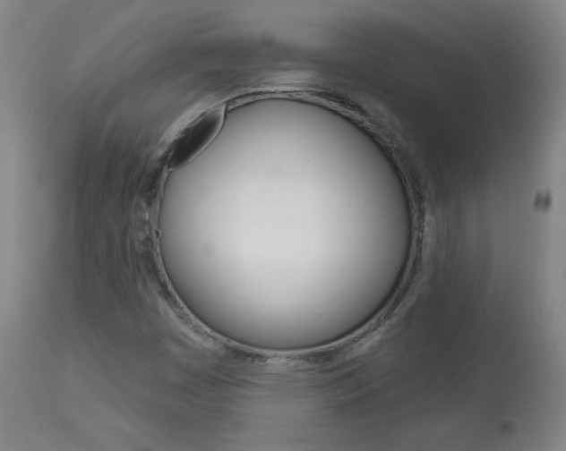 X0000113921449200909241318
