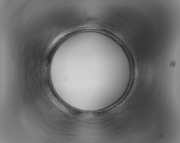 X0000113921450200909241318