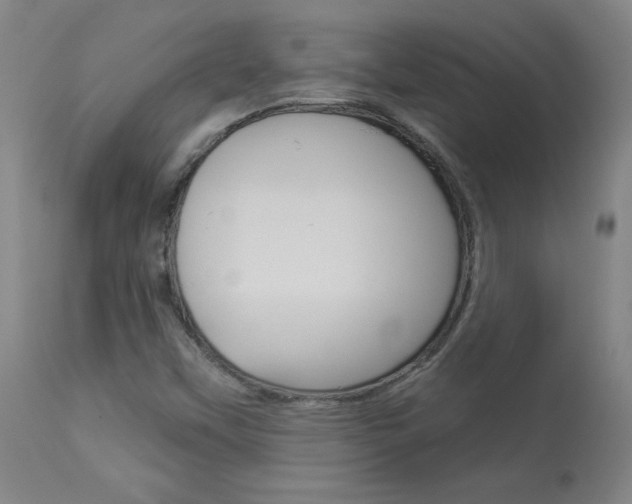 X0000113921451200909241318