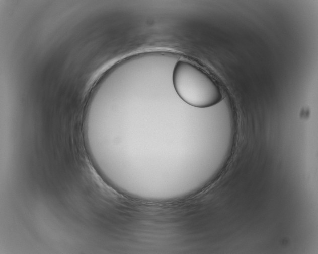 X0000113921452200909241318