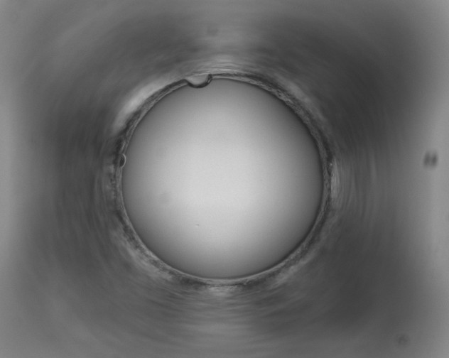X0000113921453200909241318