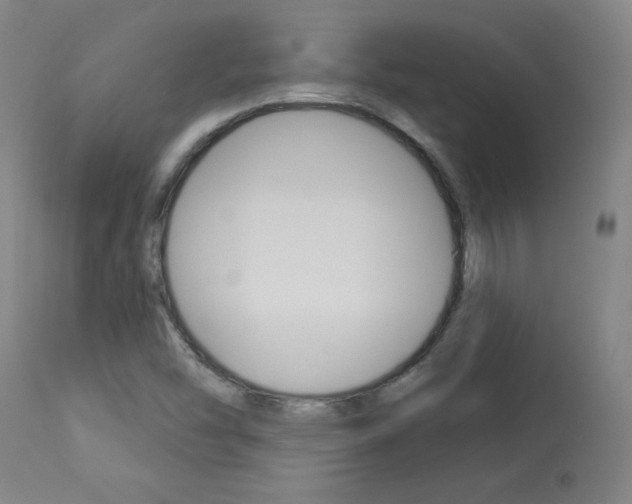 X0000113921454200909241318
