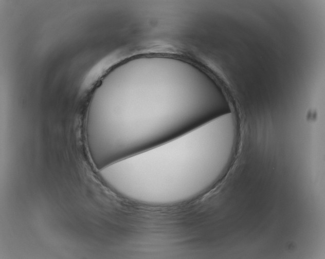 X0000113921455200909241318