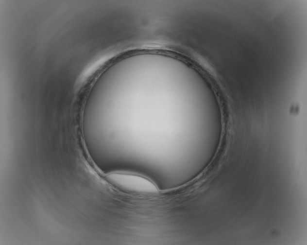 X0000113921456200909241318