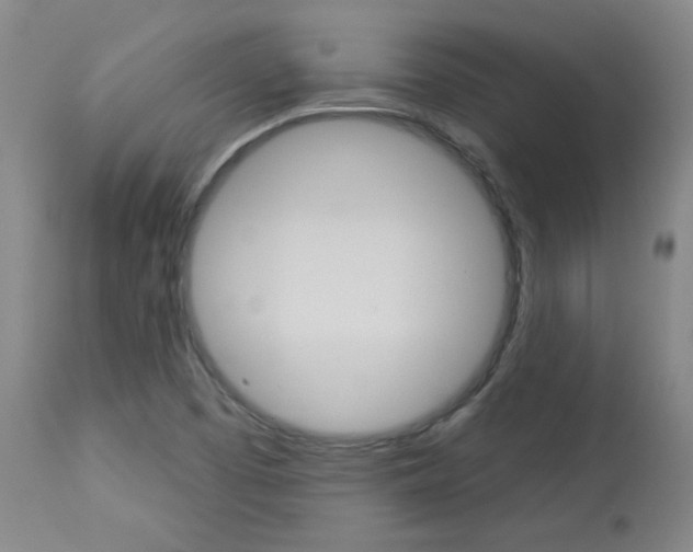X0000113921457200909241318