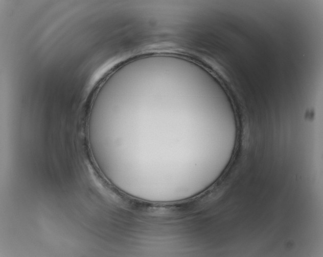 X0000113921458200909241318