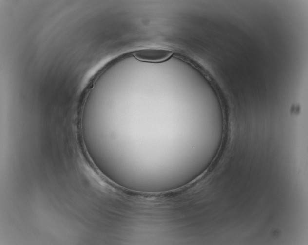 X0000113921460200909241318