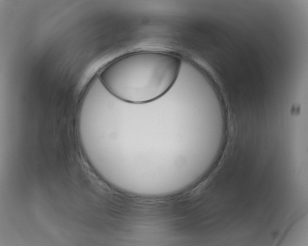 X0000113921461200909241318