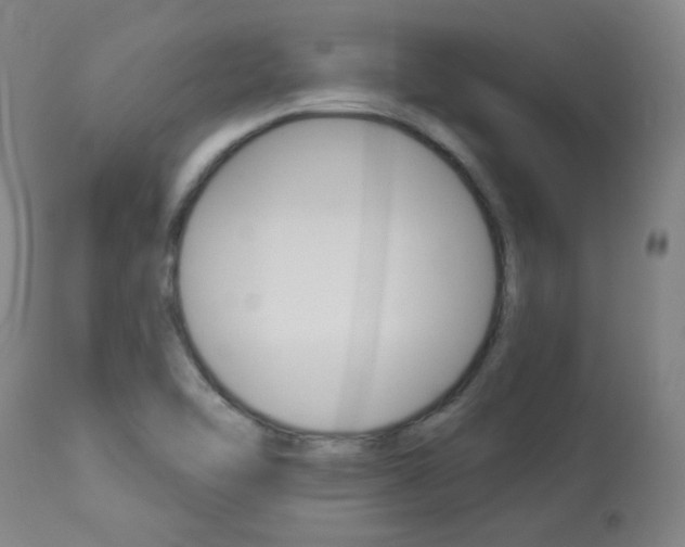 X0000113921462200909241318