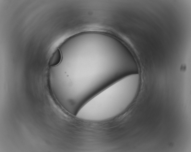 X0000113921463200909241318