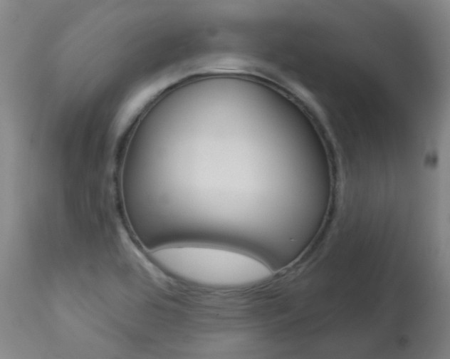 X0000113921464200909241318