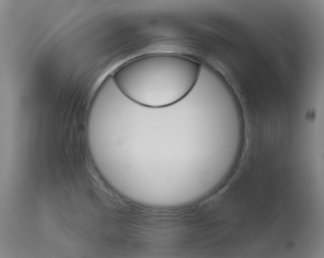 X0000113921465200909241318