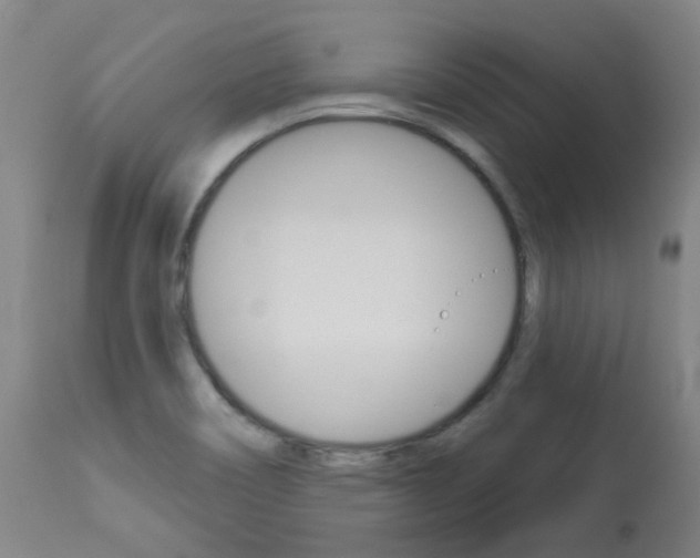 X0000113921466200909241318