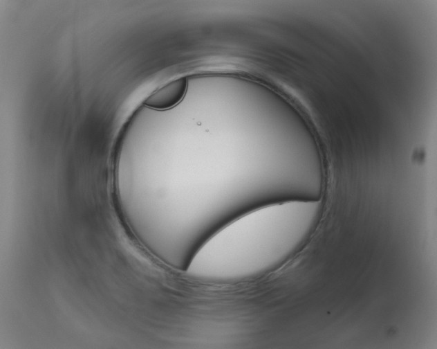 X0000113921467200909241317