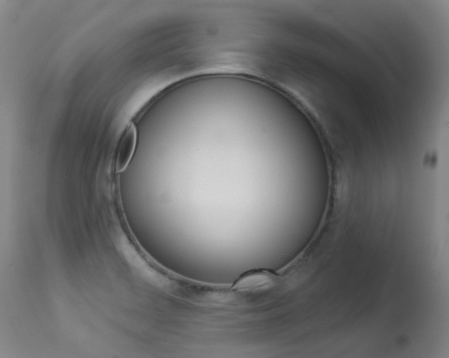 X0000113921468200909241317