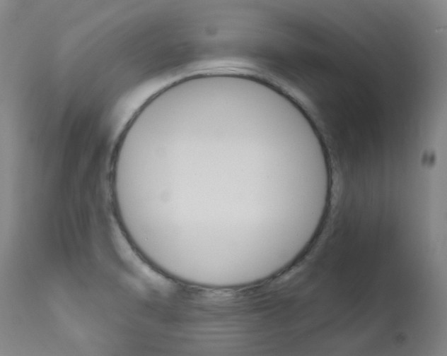 X0000113921470200909241317