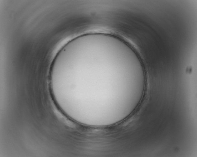 X0000113921471200909241317