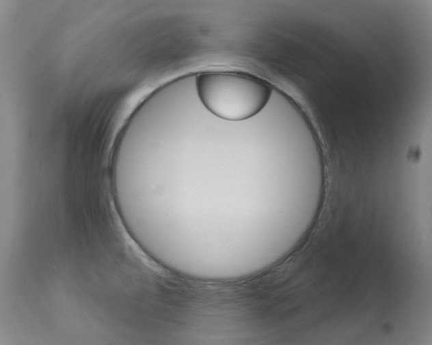 X0000113921472200909241317