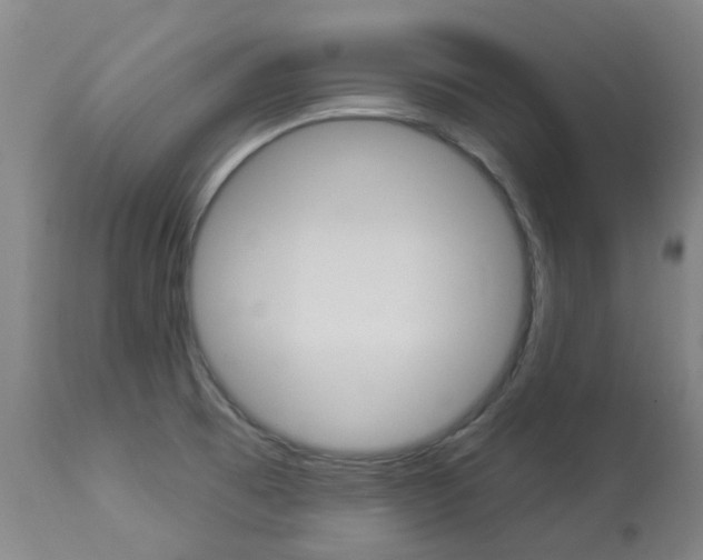 X0000113921473200909241317