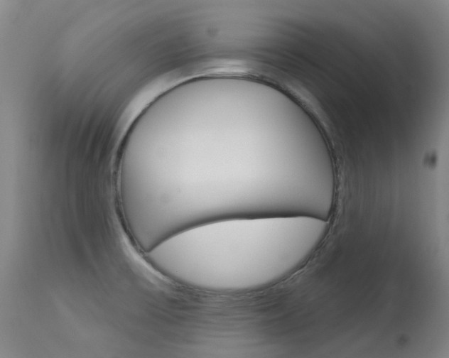 X0000113921475200909241317
