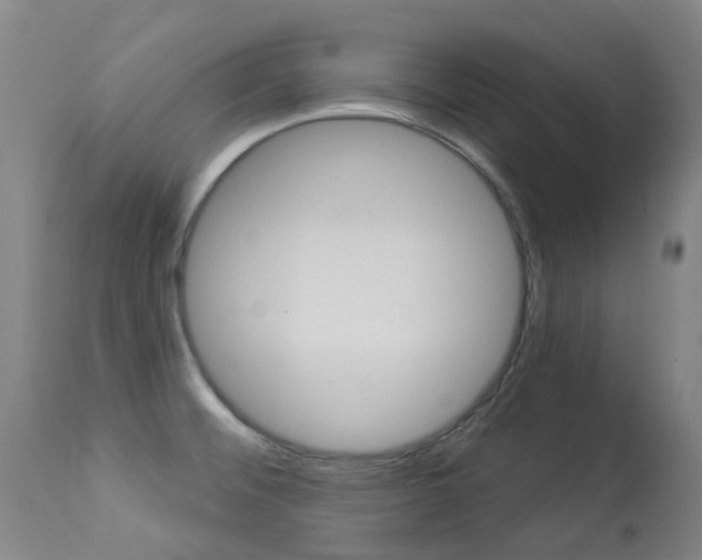 X0000113921476200909241317