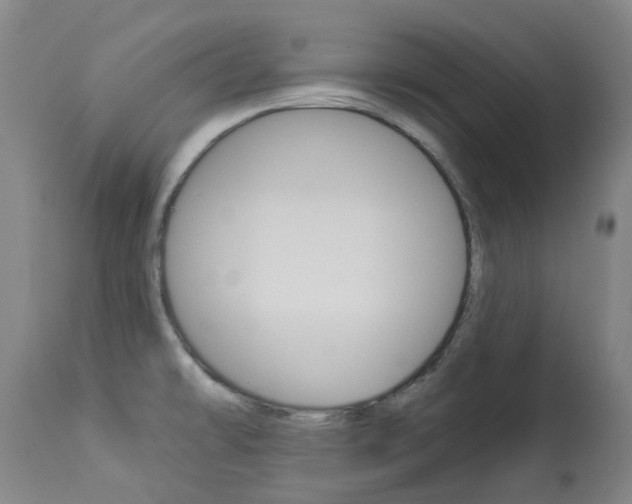X0000113921478200909241317