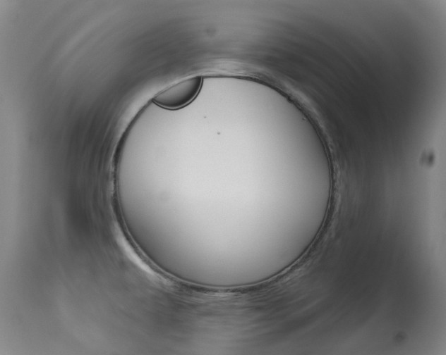 X0000113921479200909241317