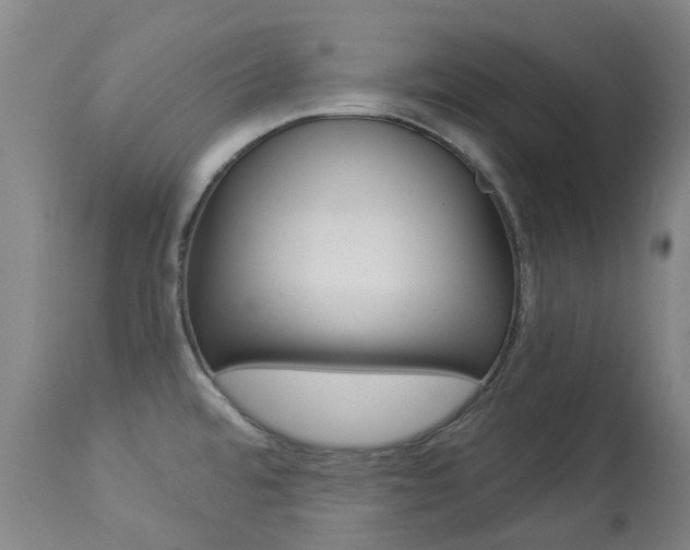 X0000113921480200909241317
