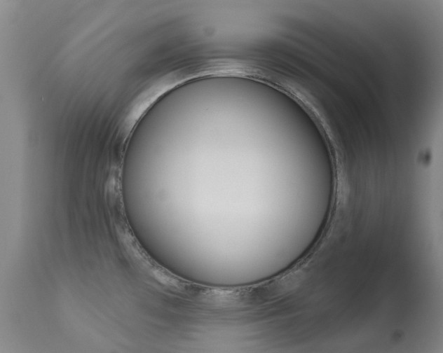 X0000113921481200909241317