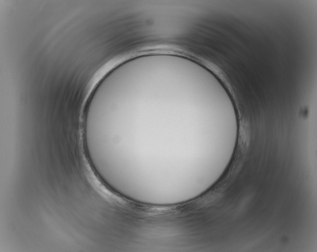 X0000113921482200909241317