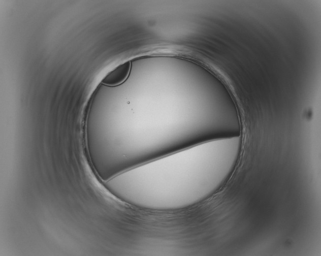 X0000113921483200909241317