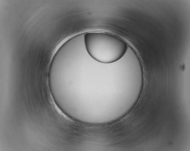 X0000113921484200909241317