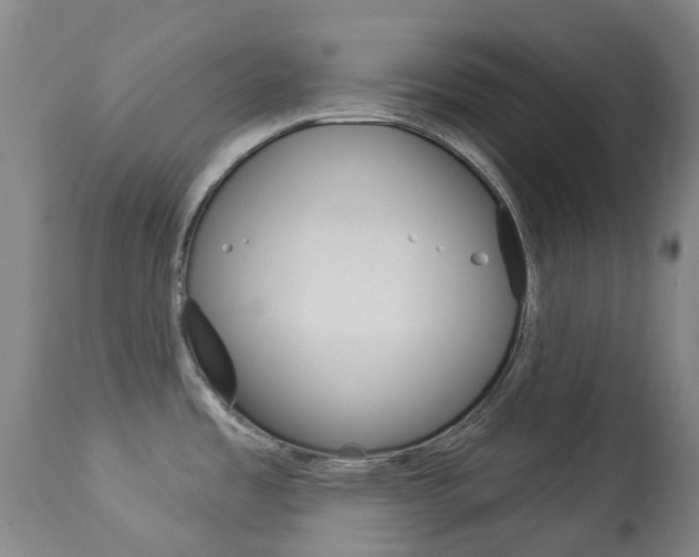 X0000113921485200909241317