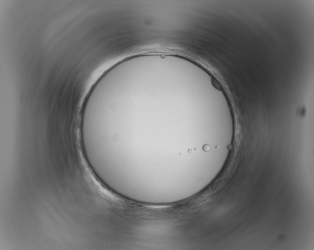X0000113921486200909241317
