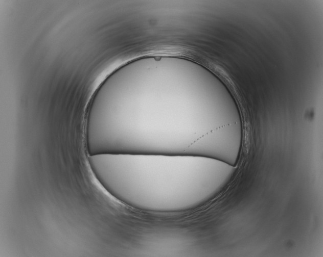 X0000113921487200909241317