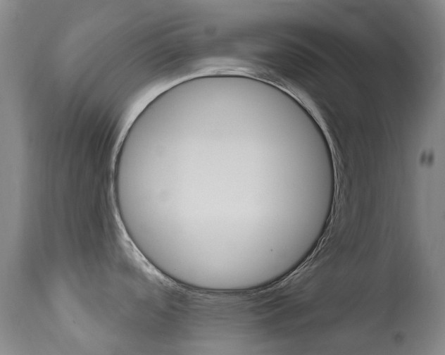 X0000113921488200909241317