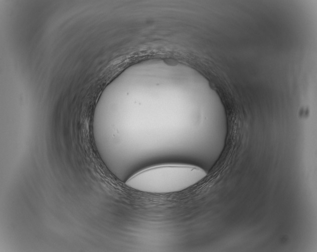 X0000113921489200909241317