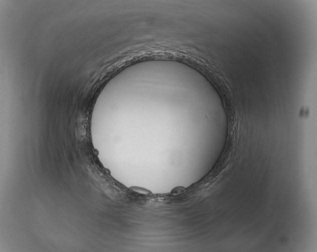 X0000113921490200909241317
