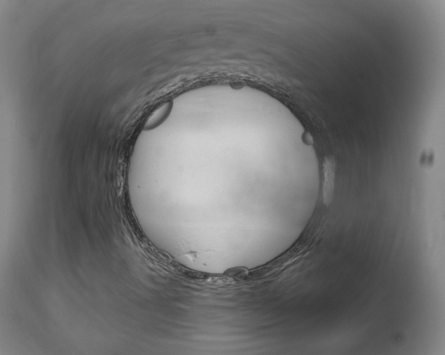 X0000113921491200909241317