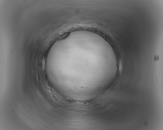 X0000113921492200909241317