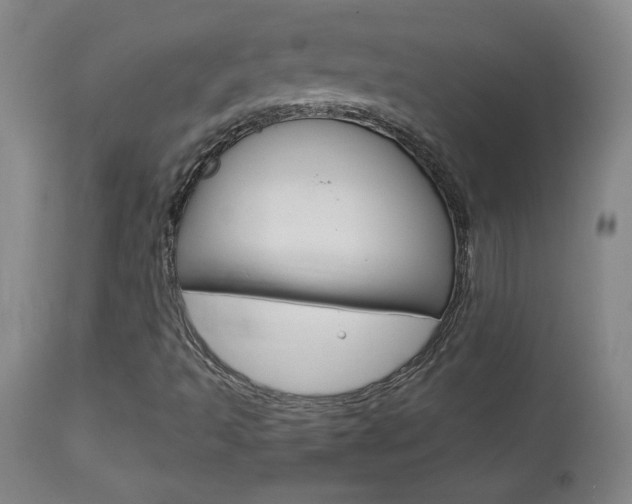 X0000113921493200909241317