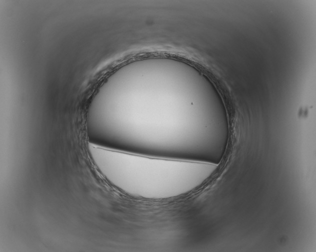X0000113921494200909241317