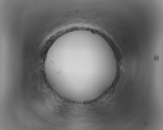 X0000113921495200909241317